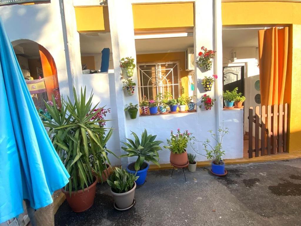Placer Sevillano On The Glory Appartement